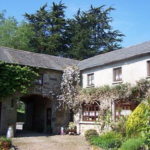 Ballinacourty House B&B Tipperary Exterior photo