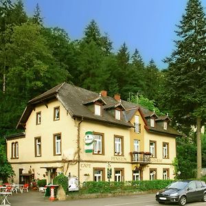 Hotel Pension Waldheim Friburgo in Brisgovia Exterior photo