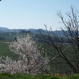 Tenuta Montanello B&B Castiglione Falletto Exterior photo