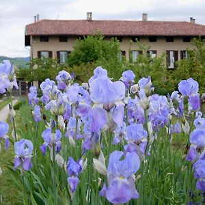 U Tej Bed and Breakfast Cumiana Exterior photo