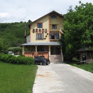 Hotel Pensiunea Bradu Piatra Neamţ Exterior photo