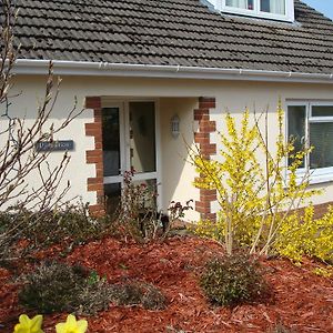 Talybont B&B Aberystwyth Tal-y-bont  Exterior photo