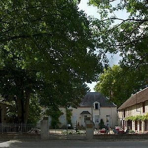 Château de la Frégeolière Bed and Breakfast Theillay Exterior photo