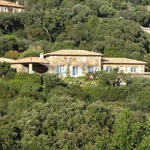 Hotel Massacan-Vue Mer Le Lavandou Exterior photo