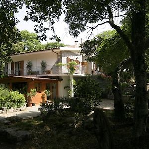 Conca Marina Bed and Breakfast Tempio Pausania Exterior photo