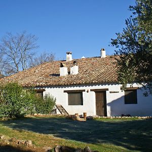 Cortijo Del Cura Affittacamere Cortijos Nuevos Room photo