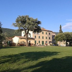 Casa Soleluna B&B Cortona Exterior photo