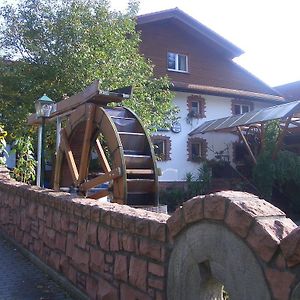 Hotel Zur Muehle Mörlenbach Exterior photo