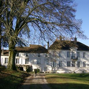 Le Chateau De Prauthoy Bed and Breakfast Exterior photo