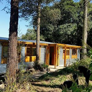 Evergreen Cabin Karkloof Villa Yarrow Exterior photo