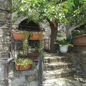 Hotel La Vecchia Casa San Mauro Cilento Exterior photo