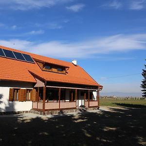 Hotel Ezuestfenyo Agroturisztikai Panzio Borzont Exterior photo