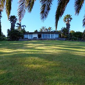 Nikau Apartments Waiheke Island Onetangi Exterior photo