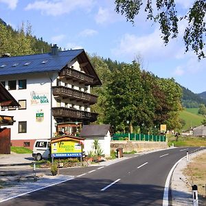 Hotel Gasthof - Pension Oedsteinblick Johnsbach Exterior photo