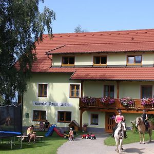 Appartamento Bauernhof Pension Juri Obergösel Exterior photo