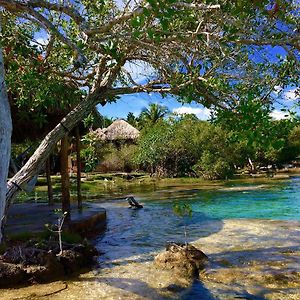 Hotel Casa Caracol Bacalar Exterior photo