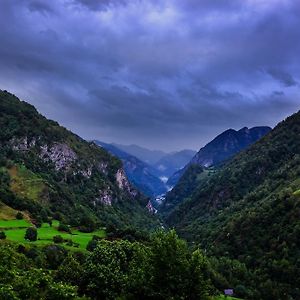 Auberge Toison D'Or Bed and Breakfast Cette-Eygun Exterior photo