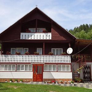 Hotel Pensiunea Daiana Albac Exterior photo