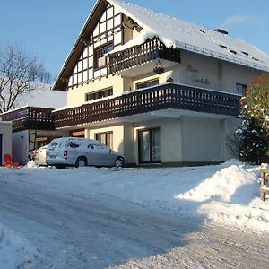 Appartamento Haus Cristallo Olsberg Exterior photo