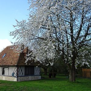 Gite Falafa Normand Villa Pont-Évêque Exterior photo