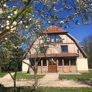 Stara Papiernia Zielony Lasek Bed and Breakfast Krutynski Piecek Exterior photo