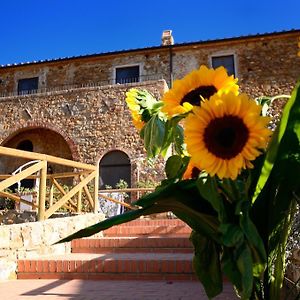 Antico Borgo Casalappi Aparthotel Campiglia Marittima Exterior photo