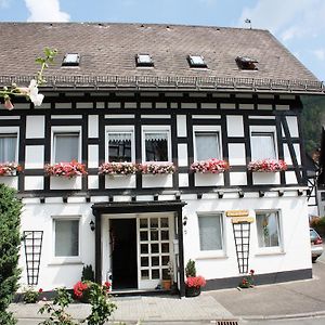 Appartamento Ferienhaus Haus Am Medebach Olsberg Exterior photo