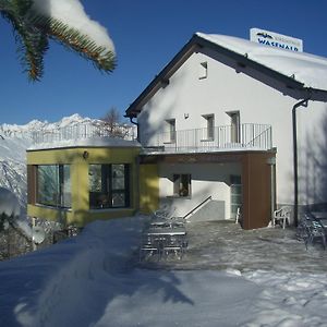 Hotel Berggasthaus Wasenalp Briga Exterior photo