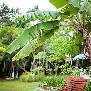 Casa Da Buena Vista Bed and Breakfast Mandeville Exterior photo