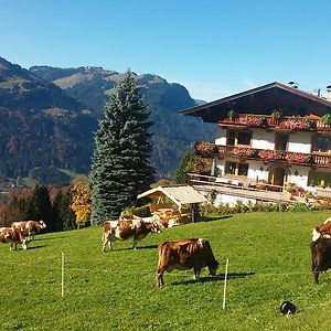 Appartamento Hof Hamoos Kitzbühel Exterior photo