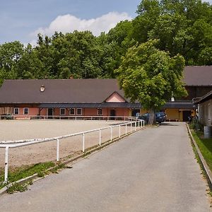 Penzion Hradisko Villa Rožnov pod Radhoštěm Exterior photo