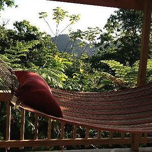 Roots Jungle Retreat Villa Marigot Exterior photo