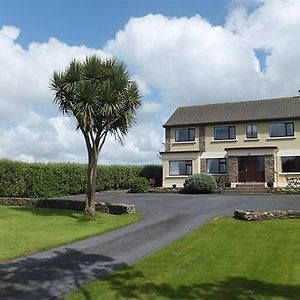 Ard-Na-Mara Country House Bed and Breakfast Ventry Exterior photo