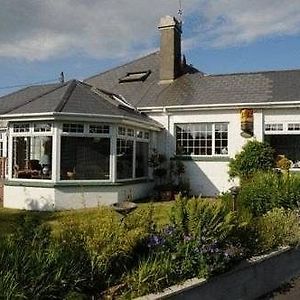 Cloneen House Bed & Breakfast Bed and Breakfast Waterford Exterior photo