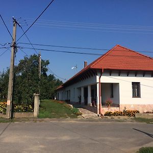 Hotel Bajusz Vendégház Tornyosnémeti Exterior photo