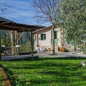 Le Voltarelle Bed&Breakfast Bed and Breakfast Serra San Quirico Exterior photo