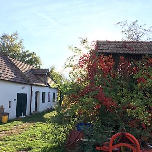 Appartamento Am Ziegenhof Parndorf Exterior photo