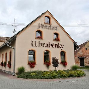 Hotel Penzion U Hraběnky Petrovice  Exterior photo