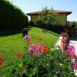 Tenuta la Ginestra Bed and Breakfast Ornaro Exterior photo