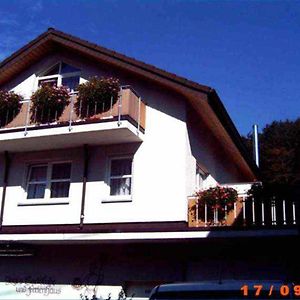 Ferienappartements Bruestle Friburgo in Brisgovia Exterior photo