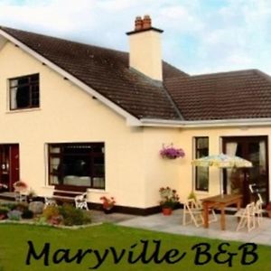 Maryville Bed And Breakfast Nenagh Exterior photo