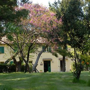 Locanda Strada Della Marina Bed and Breakfast Scapezzano Exterior photo