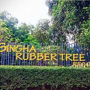Singha Rubber Tree Hotel Ban Huai Maenam Noi Exterior photo