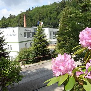 Hotel Kupele Stos Exterior photo