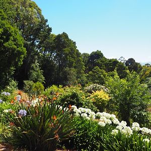 Murrindindi Bed and Breakfast Kallista Exterior photo