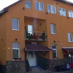 Engi Panzio Bed and Breakfast Ocna de Sus Exterior photo