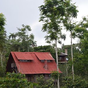 Cabanas Los Cedros Cuetzalán del Progreso Exterior photo