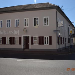 Hotel Nassauer Hof Francoforte sul Meno Exterior photo