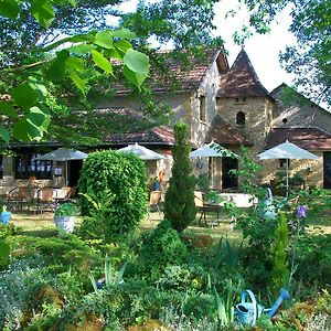 Auberge De Castel-Merle Sergeac Exterior photo