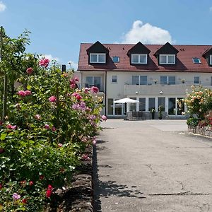 Hotel Felshof - Weingut & Gaestehaus Sommerhausen Exterior photo